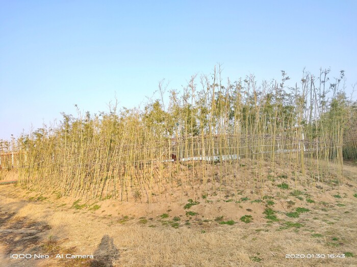 iqooneo855打王者有哪些功能,iqooneo855和竞速版的区别在哪