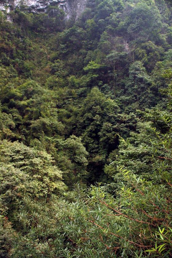 神龙峡：幽谷深深隐桃源