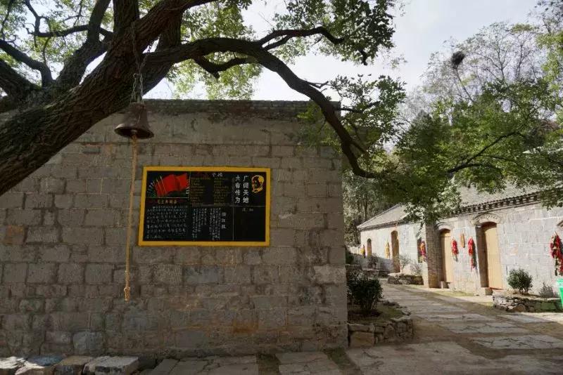 再次增值!洛阳旅游年票又增加一个新景区,看看是哪个?