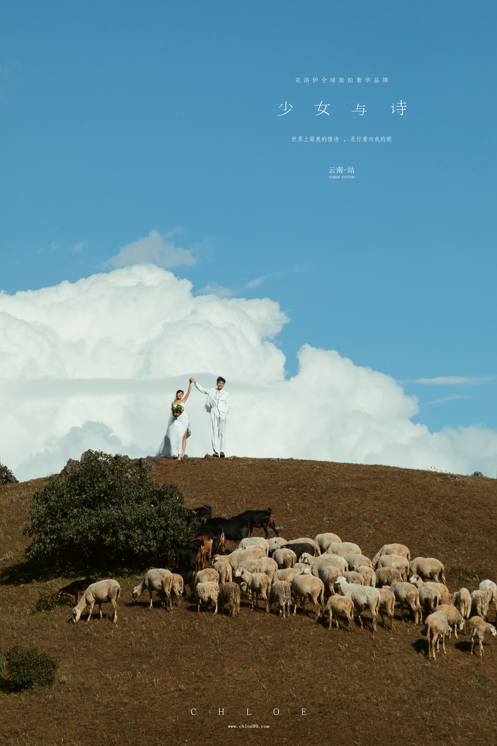 婚纱照选片的4个技巧及注意事项,婚纱照选片技巧及注意事项文字版