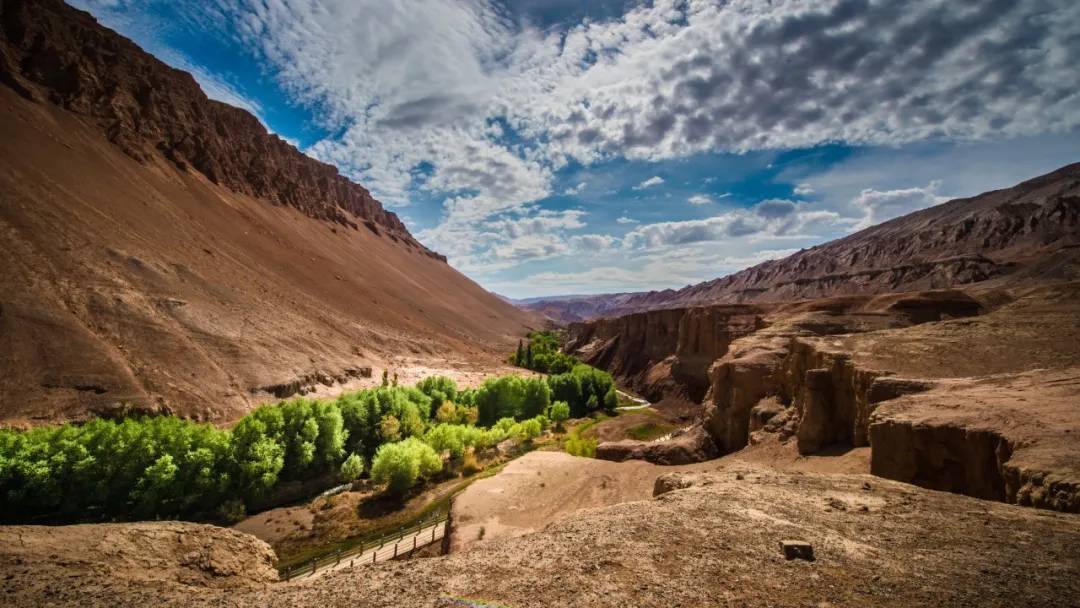 疫情为什么那么多地方管控,疫情肆意泛滥什么意思
