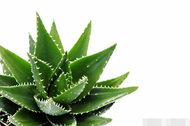 孕期烧心怎么缓解有4种方法,胃酸胃胀烧心吃什么食物比较合适