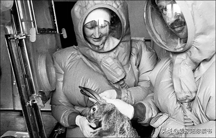 人类的记忆力是最厉害的吗,人类的记忆会随着时间变短