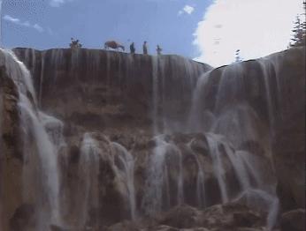 白龙马惨死最后怎么解决的,白龙马惨死事件