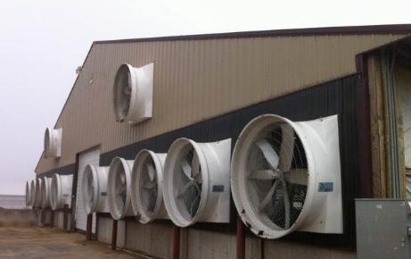 密封式猪舍臭气怎么消除,猪舍臭气