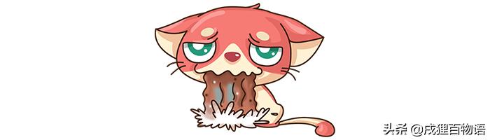 驱虫药危险吗,驱虫药内服有毒吗