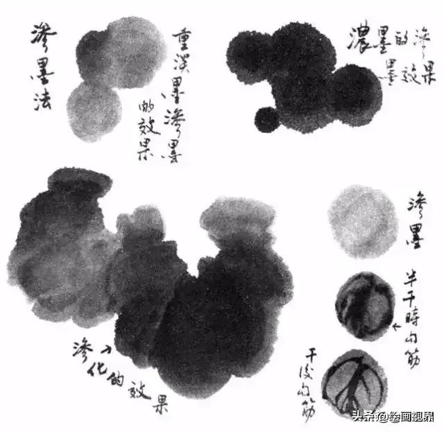 国画没有书法基础,国画没有基础最好先学哪些入手