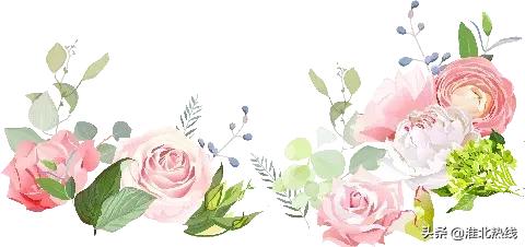 淮北首府实验小学报名电话,淮北市首府实验小学什么档次