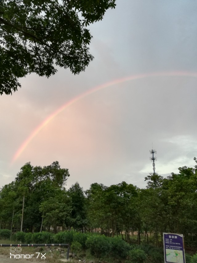 枫林诗苑诗词大全,枫林诗苑图片欣赏