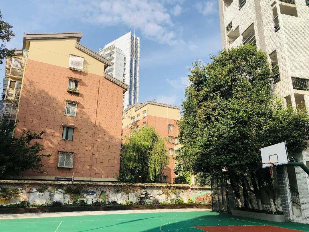 秋天你好吗,秋天你好