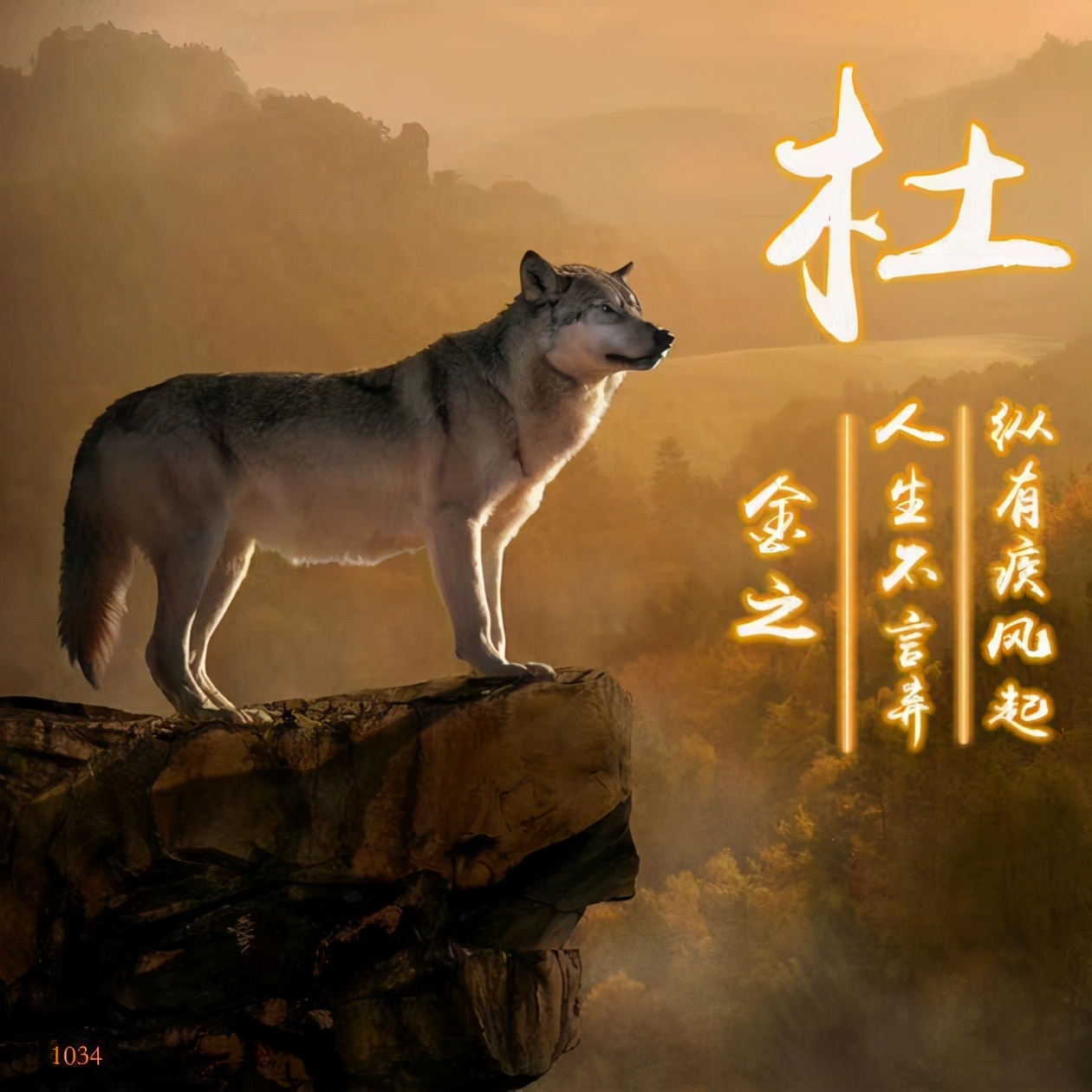 微信姓氏头像2023,姓氏头像图片2023