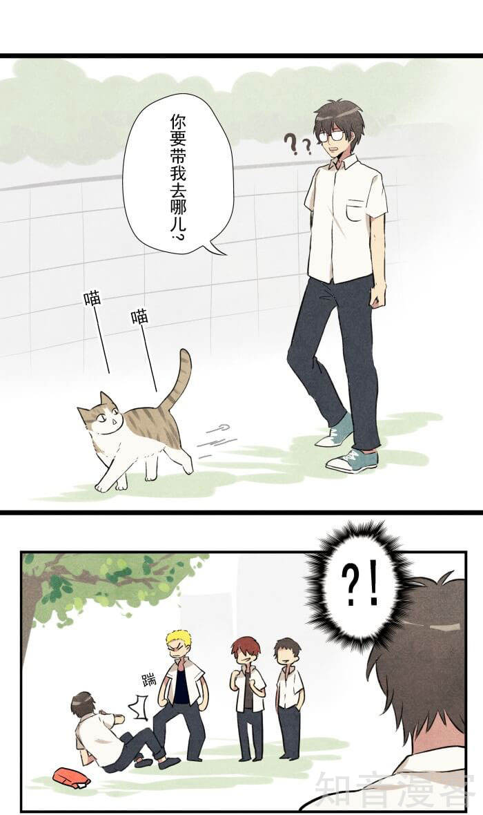 猫和铲屎官的日常生活漫画,猫和铲屎官的日常漫画