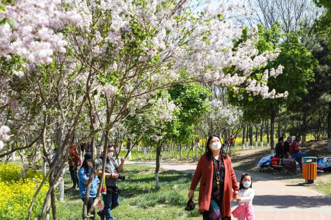 北京人少景美赏秋的公园,北京赏秋中山公园