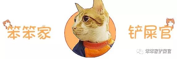 猫咪得尿结石,猫咪如果有尿结石怎么治疗