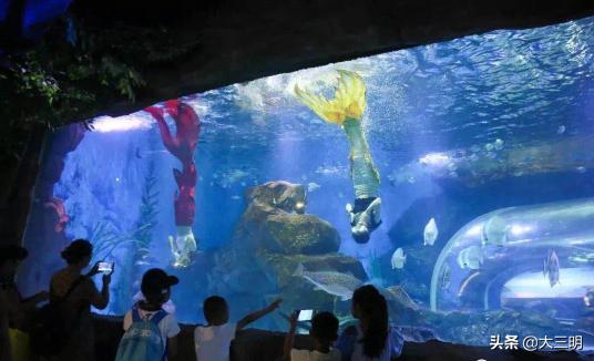 梅园国际大酒店最新消息,梅园国际大酒店温泉房