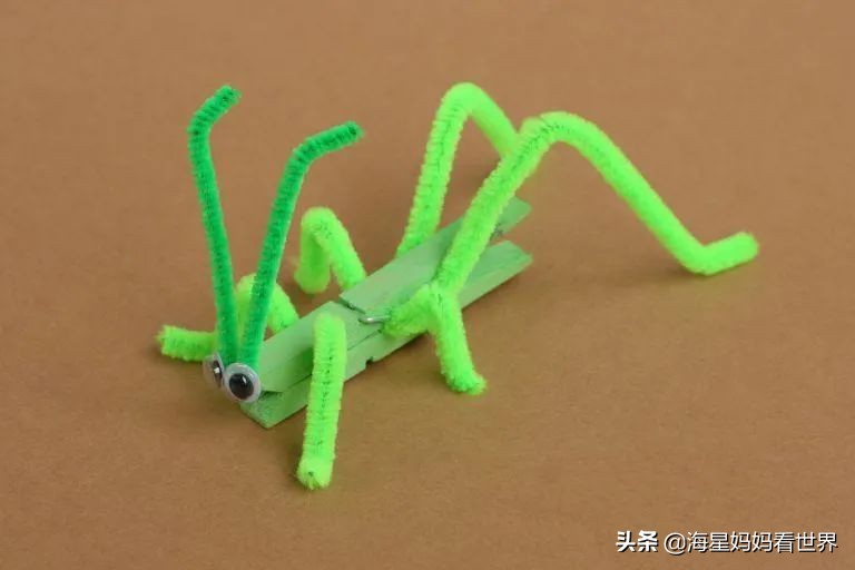 昆虫diy益智拼图,diy昆虫旅馆怎么做