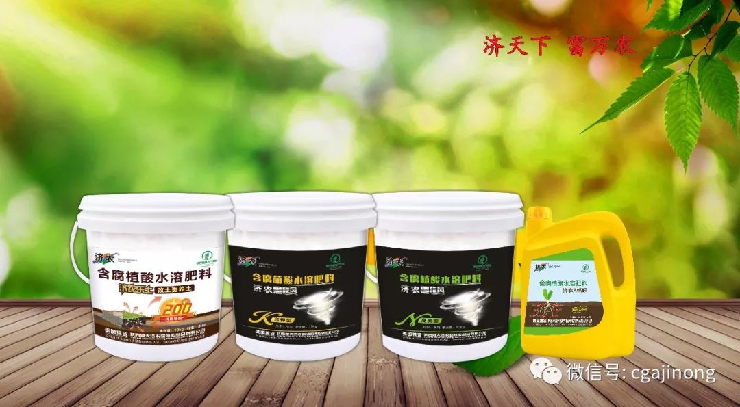 陕西鼎天济农腐植酸公司位置,陕西鼎天济农腐植酸肥