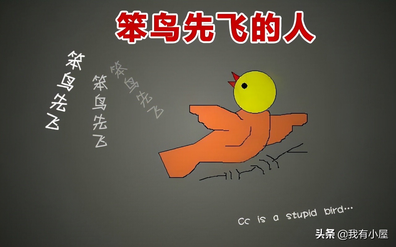 抓住这波红利实现人生逆袭,抓住当下属于你的红利期