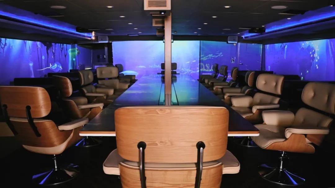 可以出海游玩的观光游轮,中国大型游轮游玩