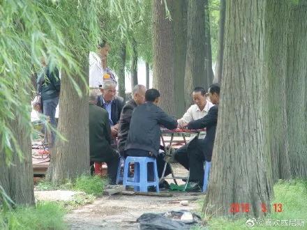 “我还没见过有那个城市的春天，能比武汉还美！”