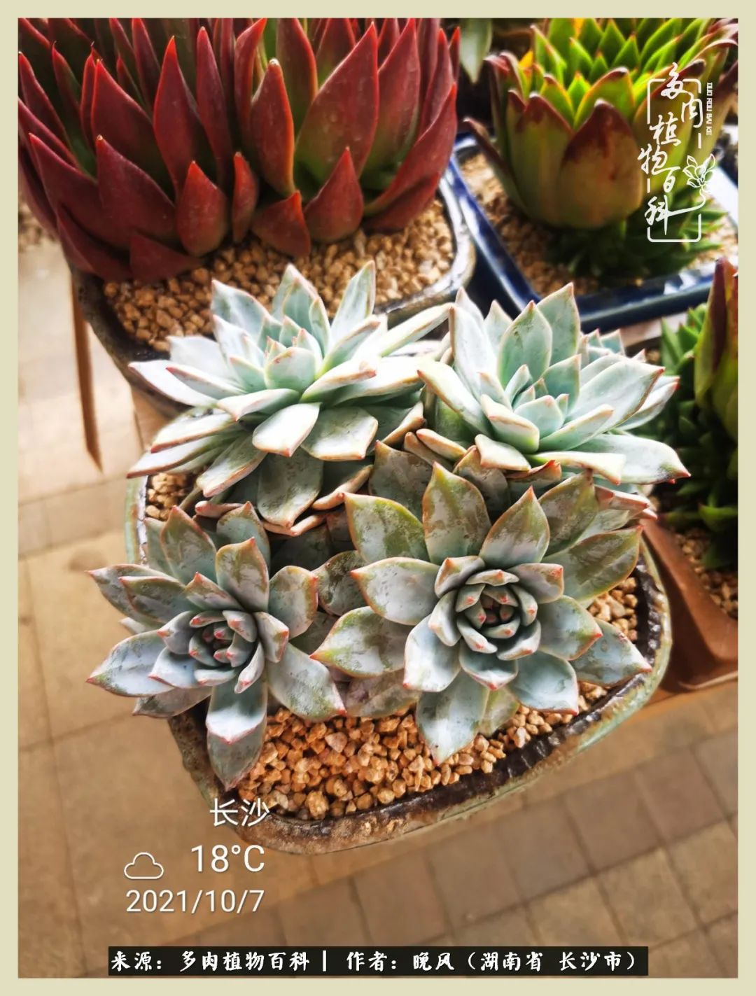 摇身一变成了奶爸,摇身一变成为打工人