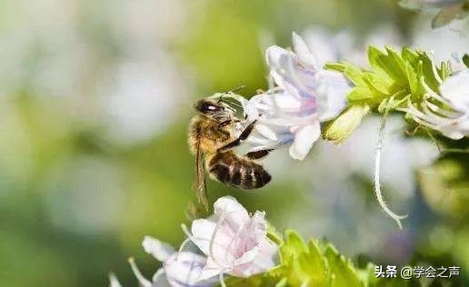 一包小苏打就能解决多种居家难题,几块钱的小苏打能解决大问题