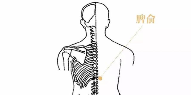 艾灸足三里上火口腔溃疡怎么办,长期吃药引起的口腔溃疡艾灸哪里