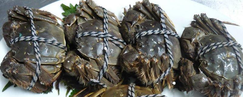 第一次吃梭子蟹,梭子蟹怎么弄着吃才好吃