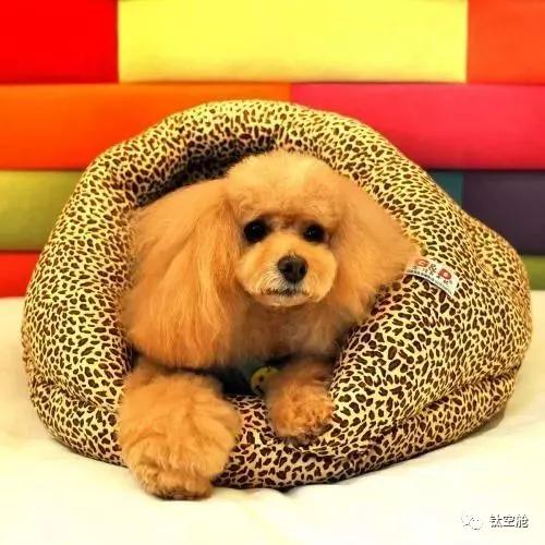 对于脚臭的人，敢脱鞋相见的是真朋友！鞋袜除味喷雾让你自信脱鞋