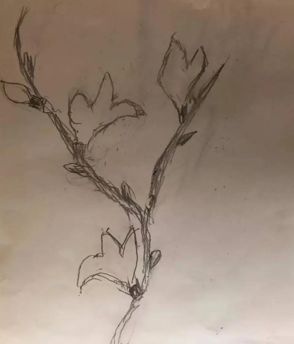 暖哭!90岁奶奶用废报纸作画,震撼数万网友:我缺的是纸吗?是手