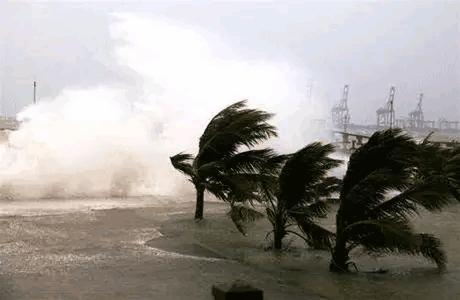 90分旋转雨伞,自动开合雨伞的结构
