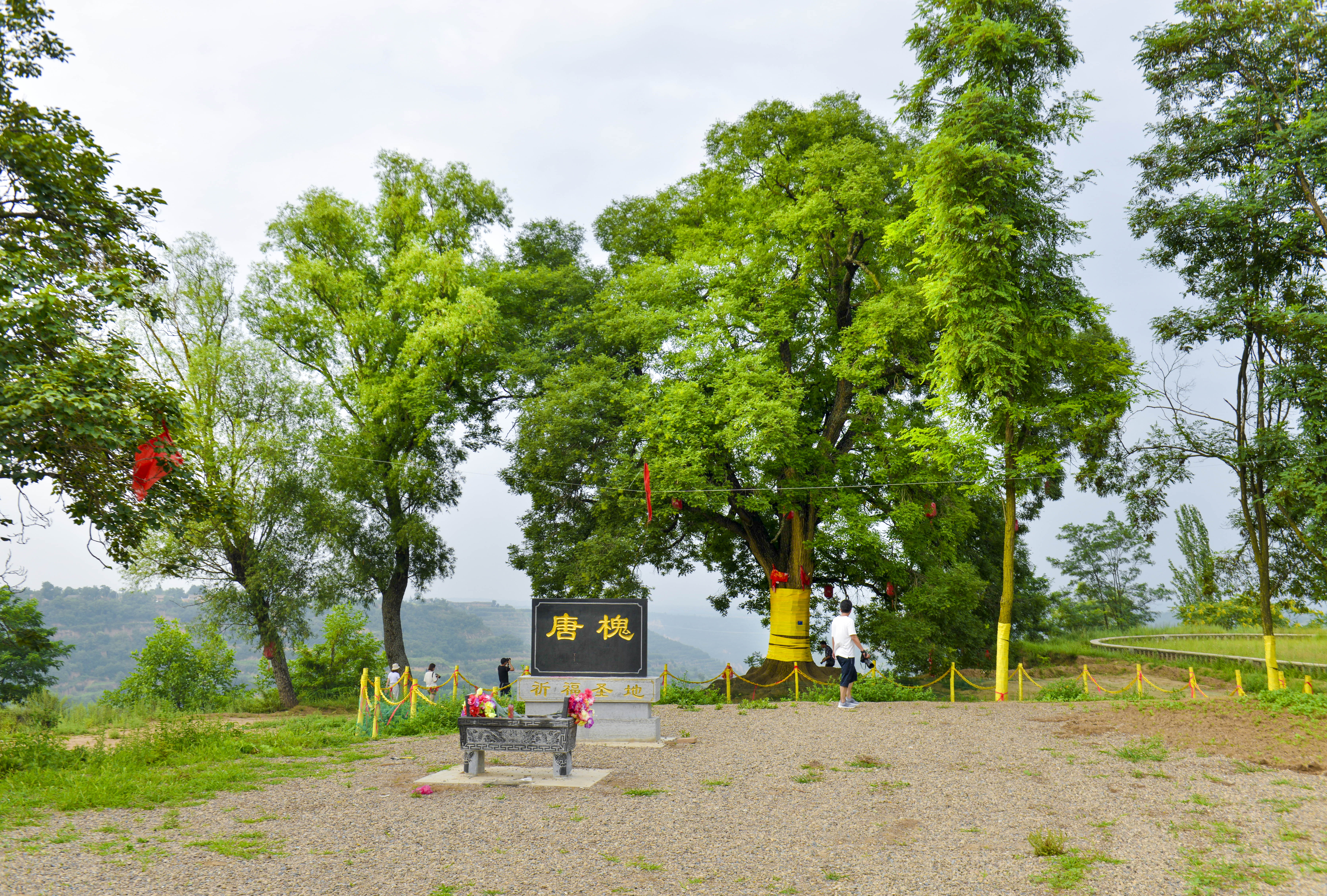 鹑觚怎么读意思是什么,鹑觚这两个字怎么读