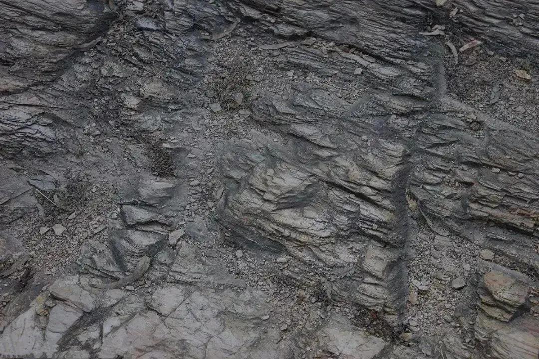 山水地质学与中国绘画讲的是什么,观往知来