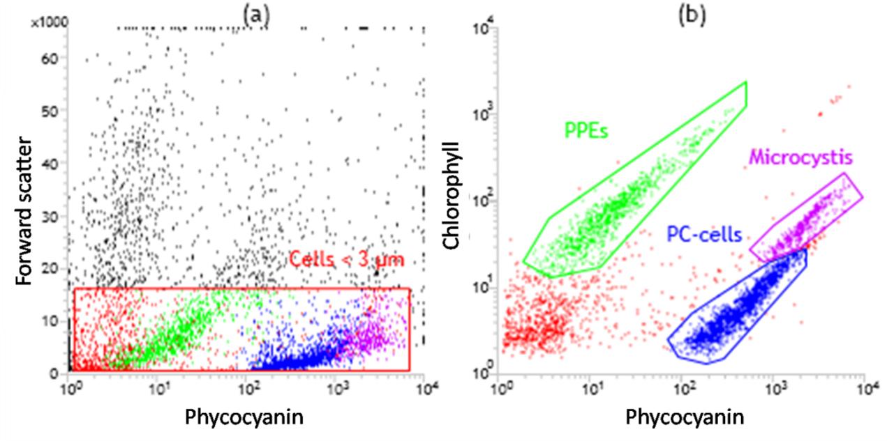 南京地理与湖泊研究所什么级,南京地理与湖泊研究所博士