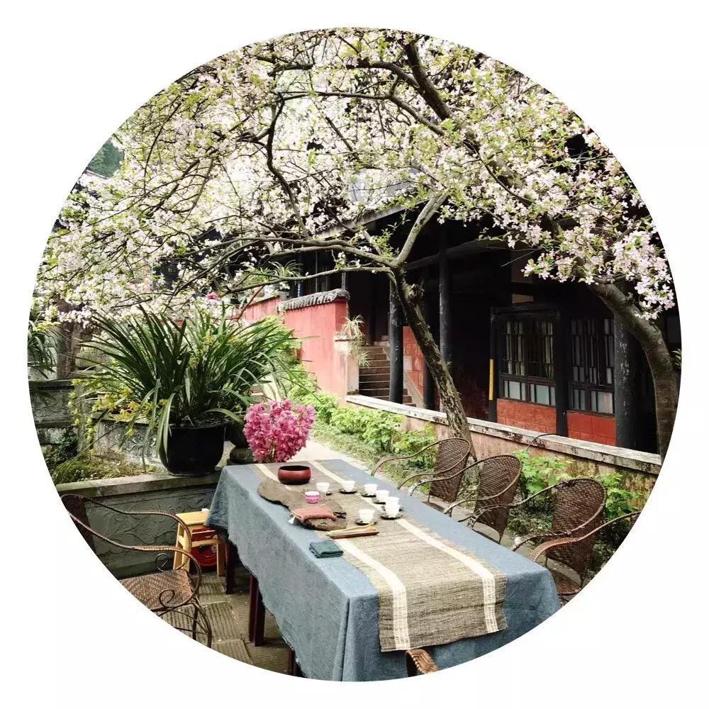 甘露茶正确泡法,系辞白话讲解