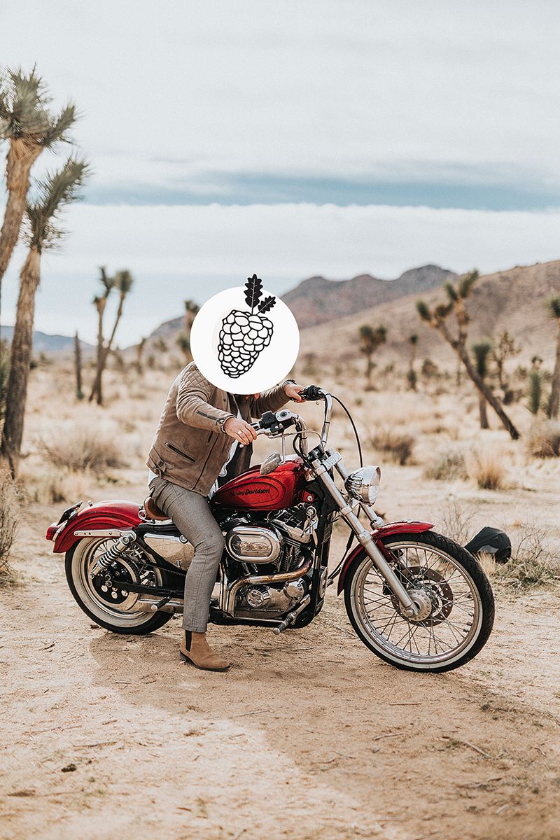 种草好物推荐纯干货,种草好物推荐1000元轻奢