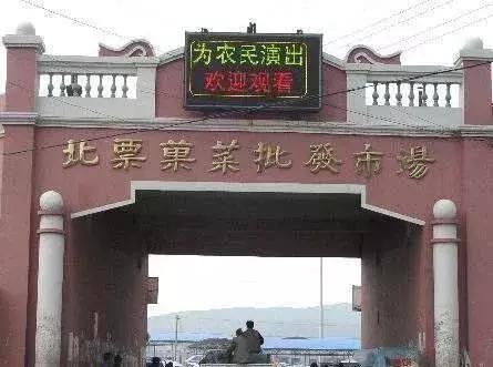 全国蔬菜批发市场十大排名图,全国各地大蔬菜批发市场现状