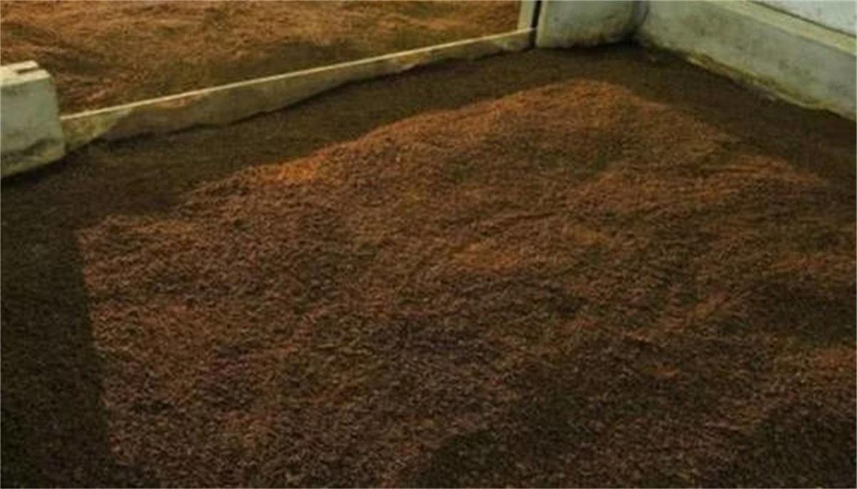 真全粮酿酒原理,真全粮酿酒怎么样