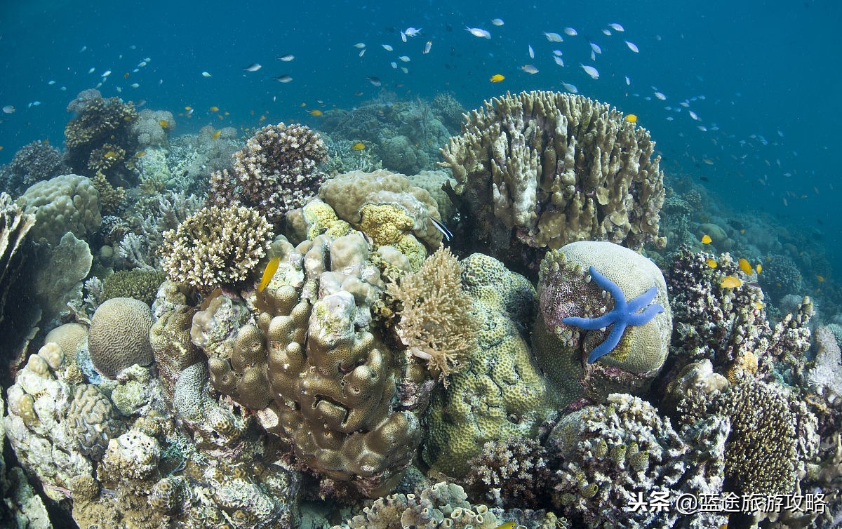全球最值得去的海岛,国外人生必去的海岛