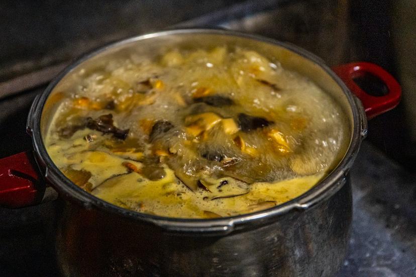 胡正阳经典视频,胡正阳游记川藏线