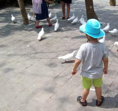 刚会走路的宝宝为什么不一直走,宝宝会走一个月还走不稳