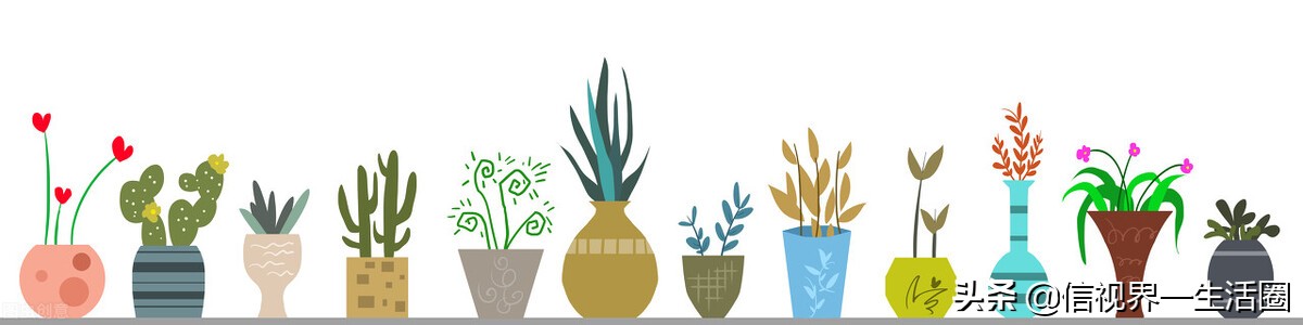 怎样配制花卉育苗用的营养土,果树花卉营养土的配制方法