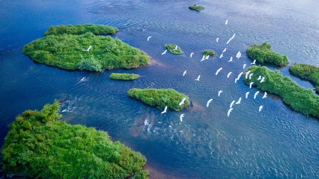 最美白衣战士,最美的白衣战士完整版