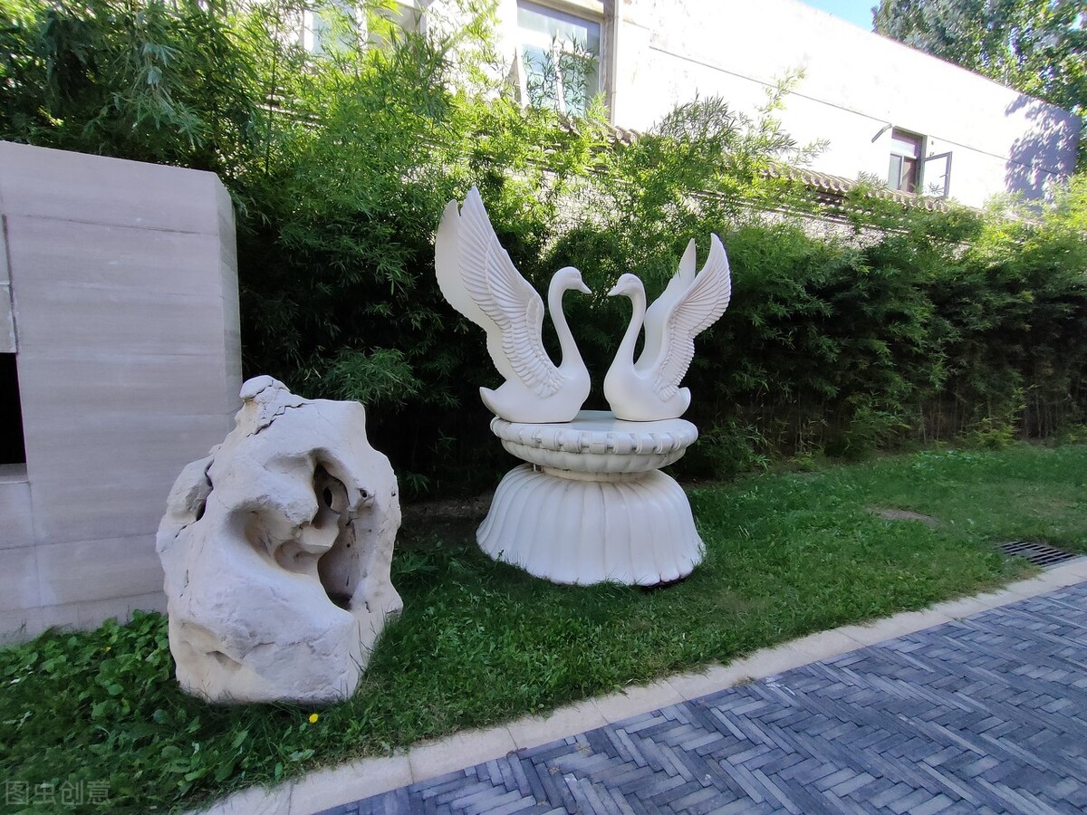 庭院养护全攻略,庭院冬季养护注意事项图片