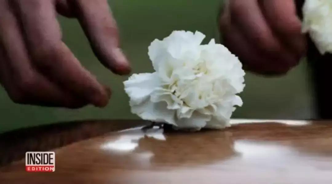 是时候公开我最嫉妒的这30万人了