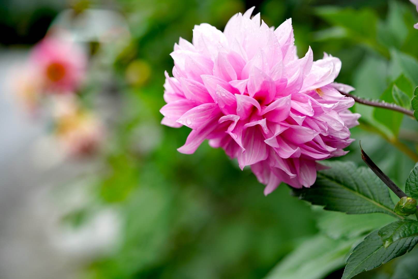 外包网管是什么,it外包网管趋势