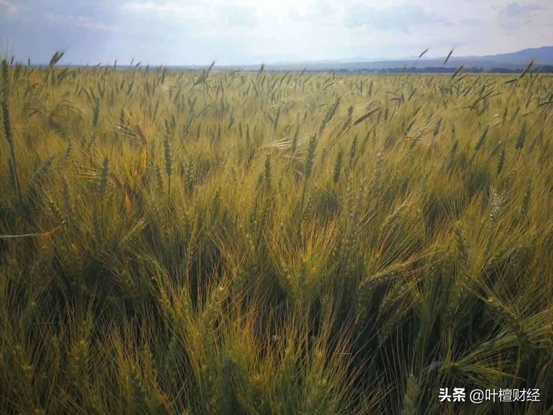 贵州经济运行全面提速全面回升,贵州经济迈向新台阶