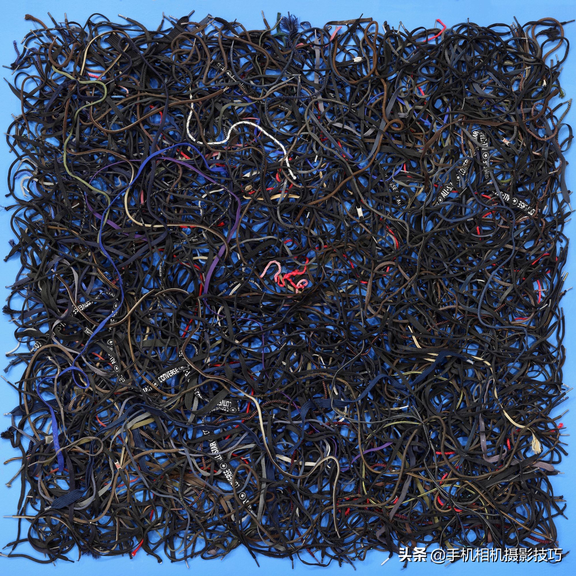 美国对华人非法移民的态度,美国民众对非法移民看法