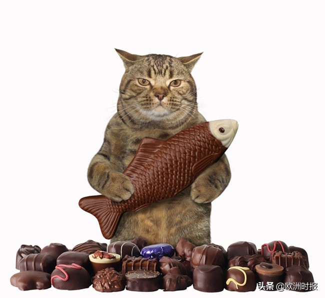 法国人过愚人节,法国人的愚人节