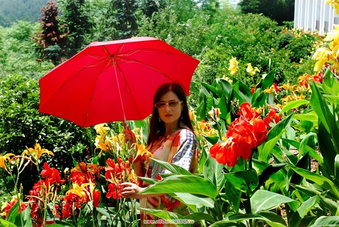 女王朱琼,微信个人号运营和高效涨粉的实操秘籍